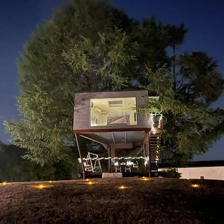 Villa San Biagio Мазон-Виченто Экстерьер фото